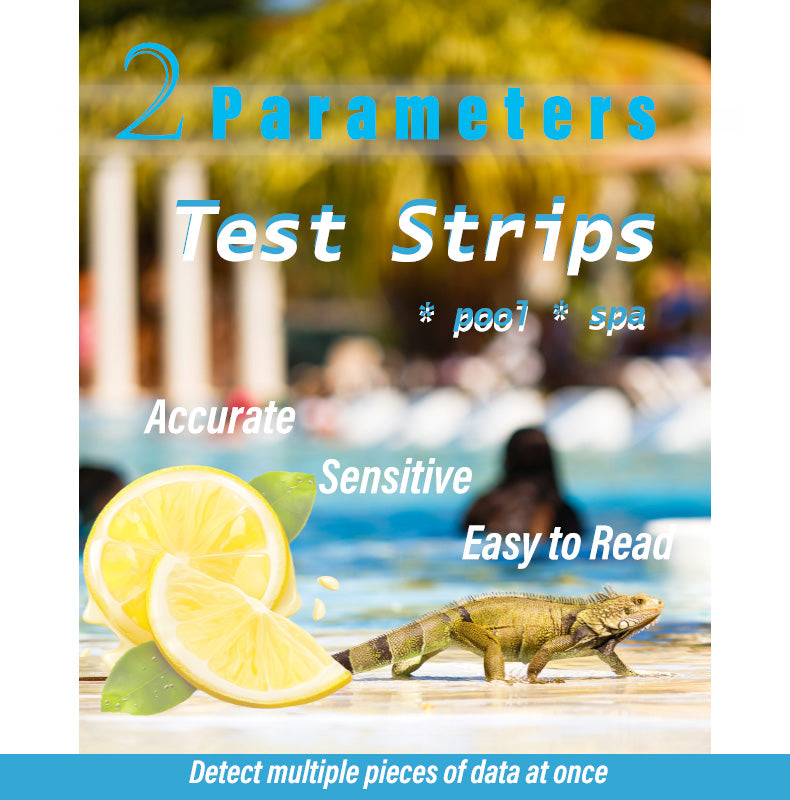 Pool & SPA 2-in-1 Water Test Strips (Bottle)