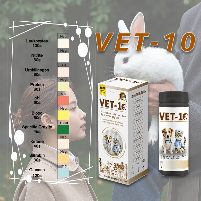 Reagent Strips For Pet Urinalysis